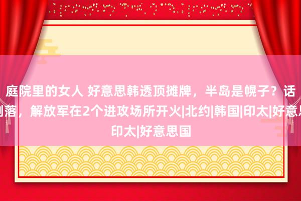 庭院里的女人 好意思韩透顶摊牌，半岛是幌子？话音刚落，解放军在2个进攻场所开火|北约|韩国|印太|好意思国