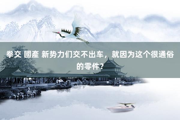 拳交 國產 新势力们交不出车，就因为这个很通俗的零件？