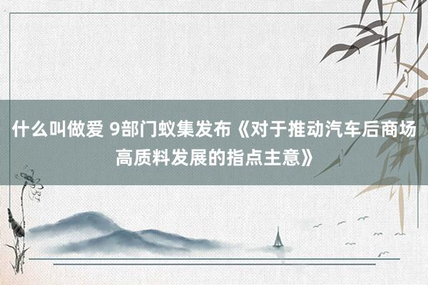 什么叫做爱 9部门蚁集发布《对于推动汽车后商场高质料发展的指点主意》