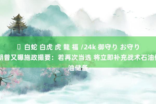 ✨白蛇 白虎 虎 龍 福 /24k 御守り お守り 特朗普又曝施政撮要：若再次当选 将立即补充战术石油储备