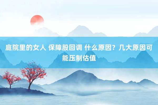 庭院里的女人 保障股回调 什么原因？几大原因可能压制估值