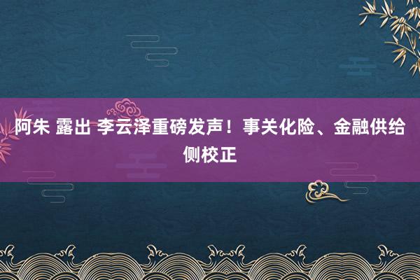 阿朱 露出 李云泽重磅发声！事关化险、金融供给侧校正