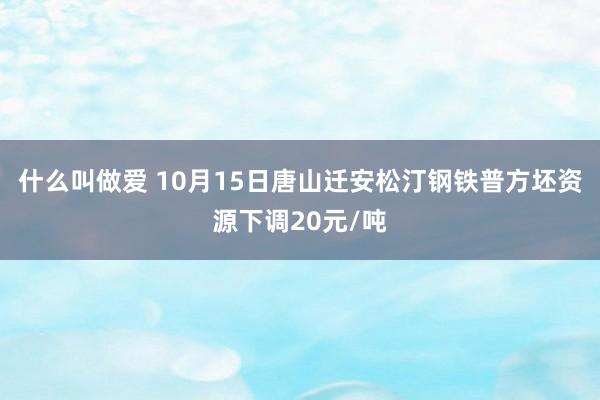 什么叫做爱 10月15日唐山迁安松汀钢铁普方坯资源下调20元/吨