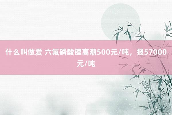 什么叫做爱 六氟磷酸锂高潮500元/吨，报57000元/吨