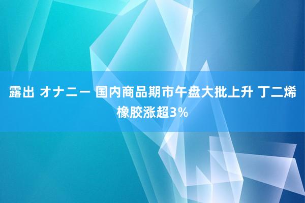 露出 オナニー 国内商品期市午盘大批上升 丁二烯橡胶涨超3%