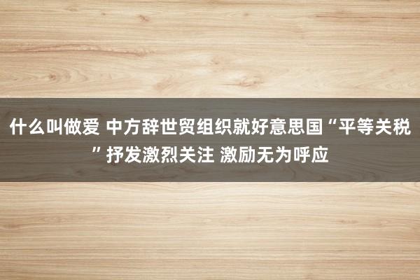什么叫做爱 中方辞世贸组织就好意思国“平等关税”抒发激烈关注 激励无为呼应