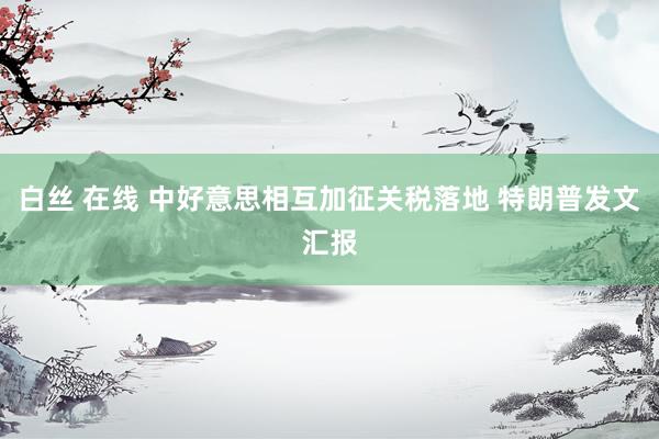白丝 在线 中好意思相互加征关税落地 特朗普发文汇报