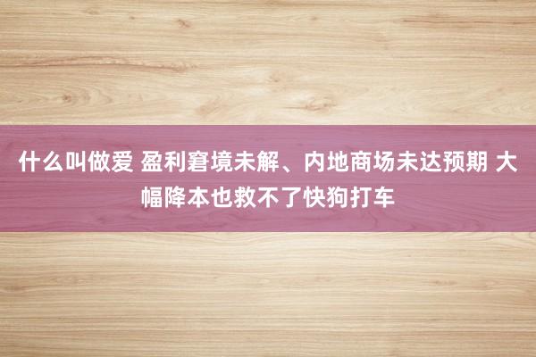 什么叫做爱 盈利窘境未解、内地商场未达预期 大幅降本也救不了快狗打车