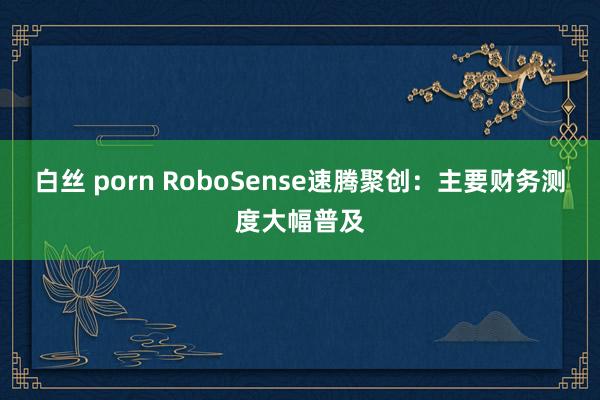白丝 porn RoboSense速腾聚创：主要财务测度大幅普及